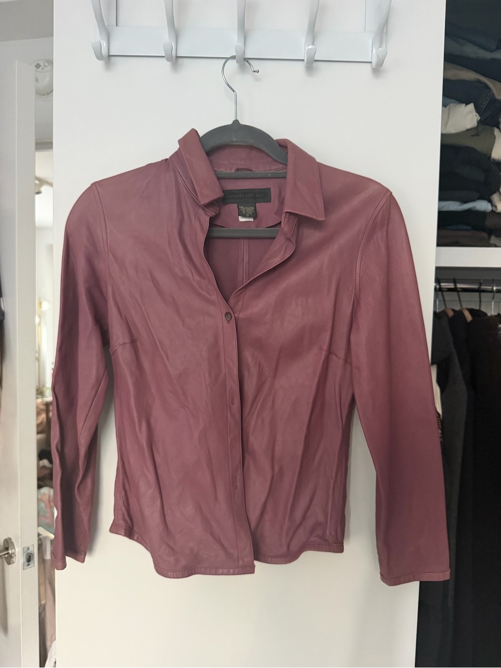 Banana Republic Mauve Leather top